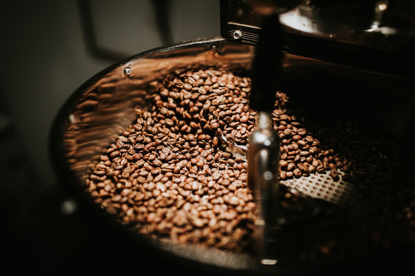 Roasted coffee beans in a production drum cooling tray