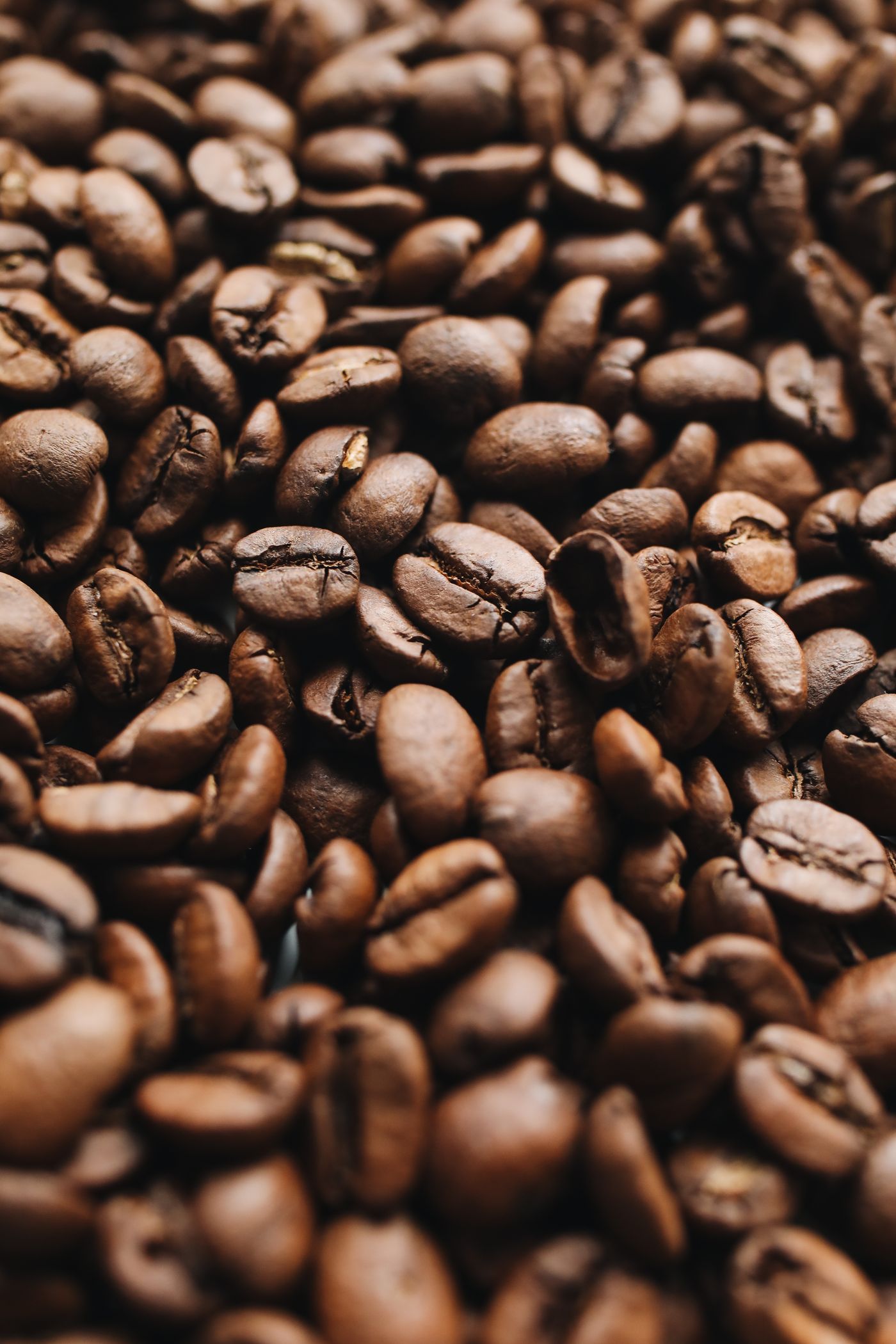 Roasted bean reference tray for spare-parts calibration